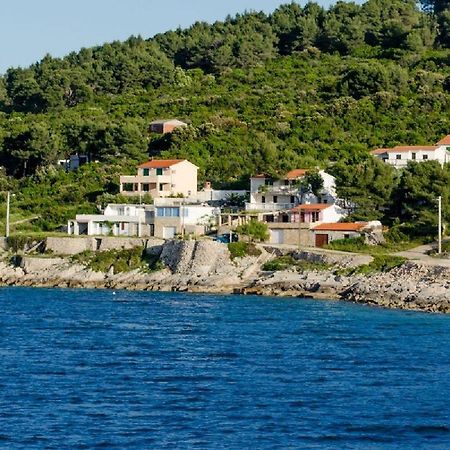 Apartment Barba Rogač エクステリア 写真